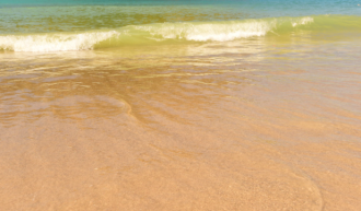 Church Norton, Selsey