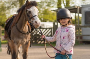 Horseback Riding or Diving
