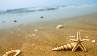 Isle of Grain Beach, Kent