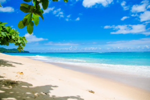 Visit a Beach