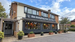 The Dumpling Tree