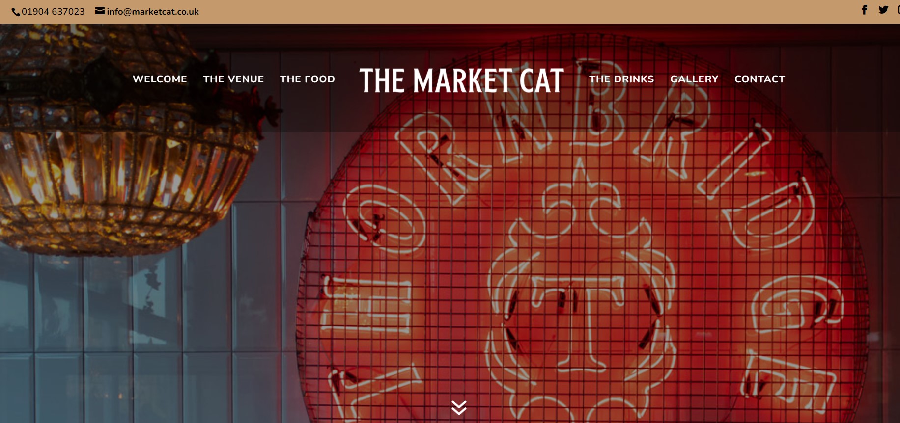 the market cat the market cat