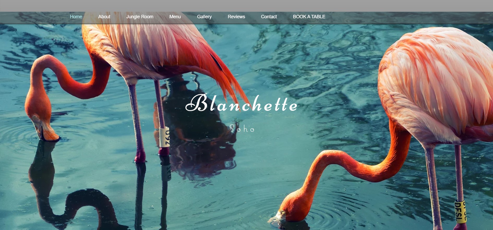 Blanchette Blanchette