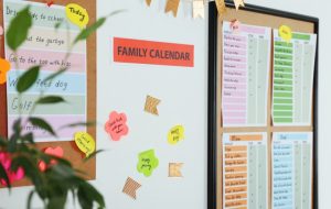 Landscape Wall Planner