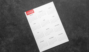 Original 2022 Daily Planner