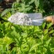 features of Diatomaceous Earth