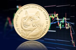 Dogecoin Purchasing Options