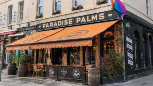Paradise Palms
