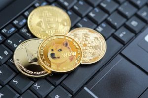 Why Should You Purchase Dogecoin