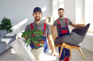 Professional Assistance