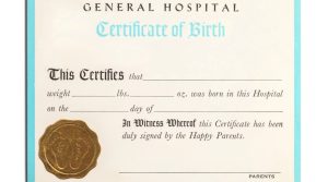 What is a Birth Certificate