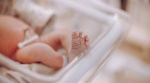 What is a Victorian Birth Certificate Number
