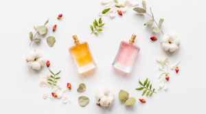 FM Cosmetics