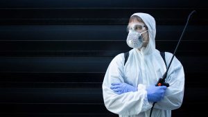 Factors That Determine The Pest Control Prices