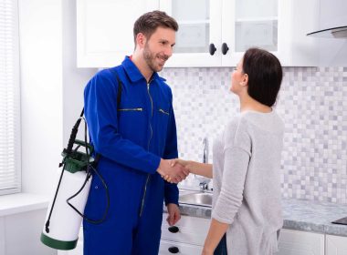 Pest Control Global Market Report