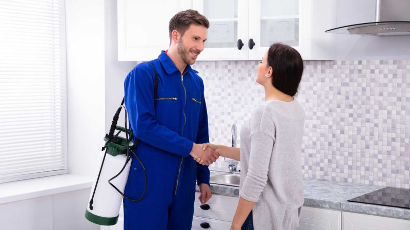 Pest Control Global Market Report