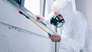 Pest Control Market Report in the UK