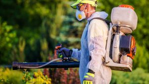 Pest Control Price