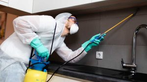 What Are The Ways Of Pest Control