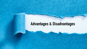 Advantages and Disadvantages of Being a Sole Trader