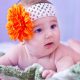 Best Types of Flowers for New Baby Celebrations
