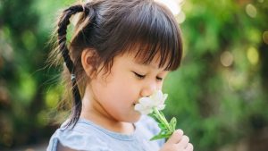 What Flowers to Give if a Girl Was Born