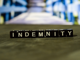 what is indemnity insurance