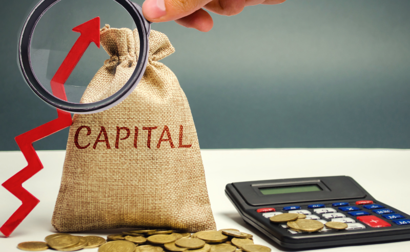 what is share capital