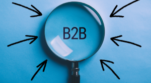 Advantages of a B2B Model