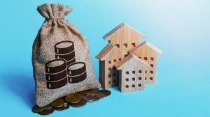 Invest in Rental Properties