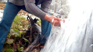 Managing Water Consumption in Commercial Operations