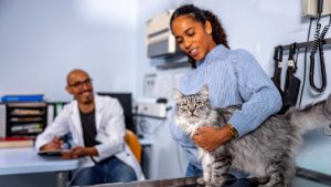 Pet Sitting as a Business