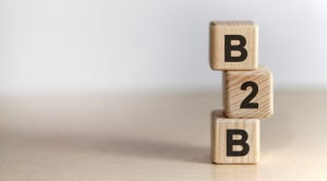 Risks of a B2B Model