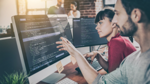 Web Developer