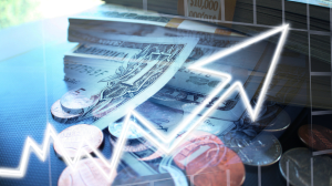 What are Dividend Stocks