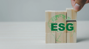What are ESG Funds