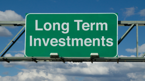 What are Long Term Investments