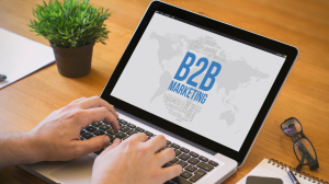 What is a B2B Business Model