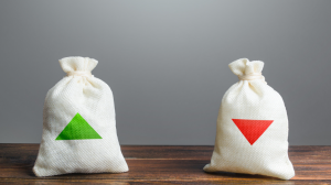 Advantages and Disadvantages of a Limited Liability Company