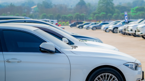 Are Hybrid Cars the Future of Transportation