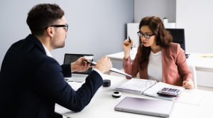 What Aoes an Auditor Do