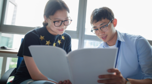 What Does an Education Consultant Do