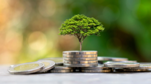 What are the Benefits of Investment Banking