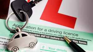 What is a D1 Licence