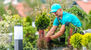 What is a Gardener