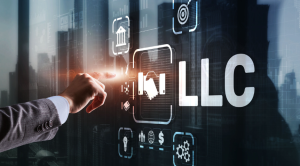 What is a Limited Liability Company in the UK