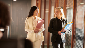 What is a Paralegal
