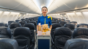 What is an Air Hostess