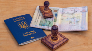 Eligibility Criteria for Sole Representative Visa