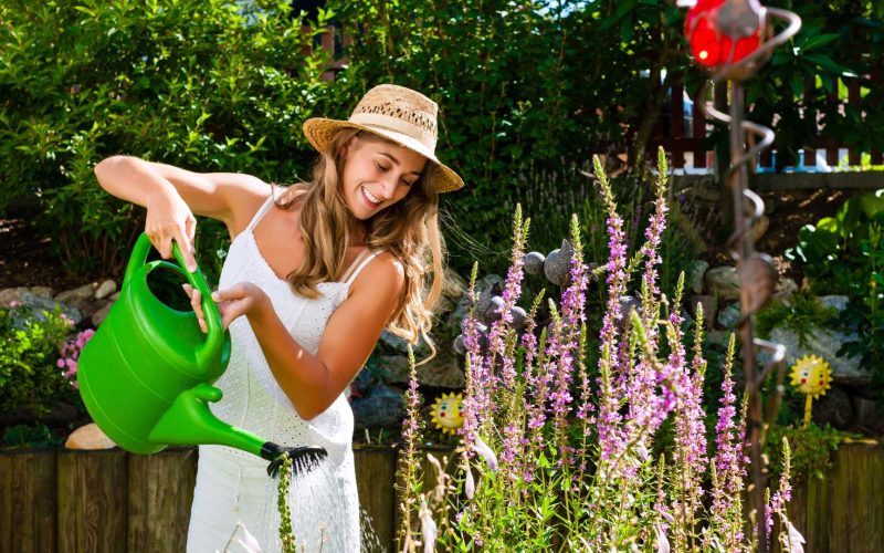 Fantastic Ways to Improve Your Garden for Summer